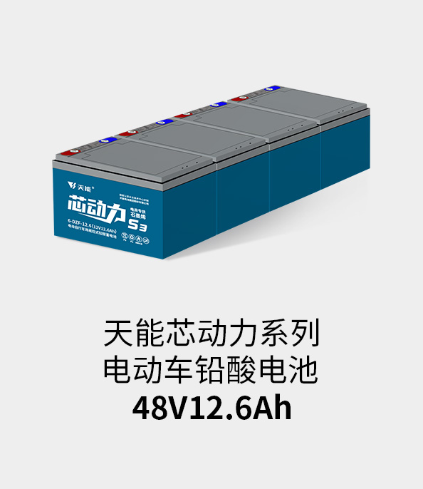 www.jinnianhui.com金年会体育电池48v12ah
