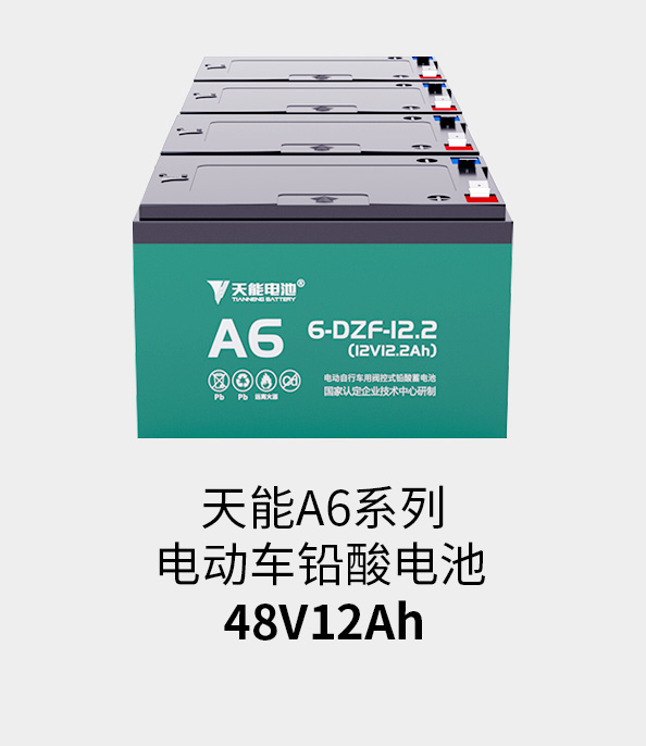 www.jinnianhui.com金年会体育电池48v12ah