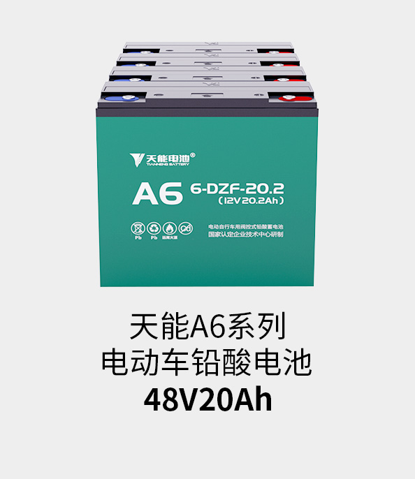 www.jinnianhui.com金年会体育电池48v20ah
